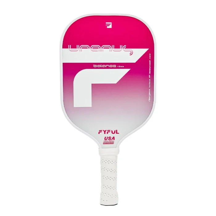 pickleball paddle set of 4