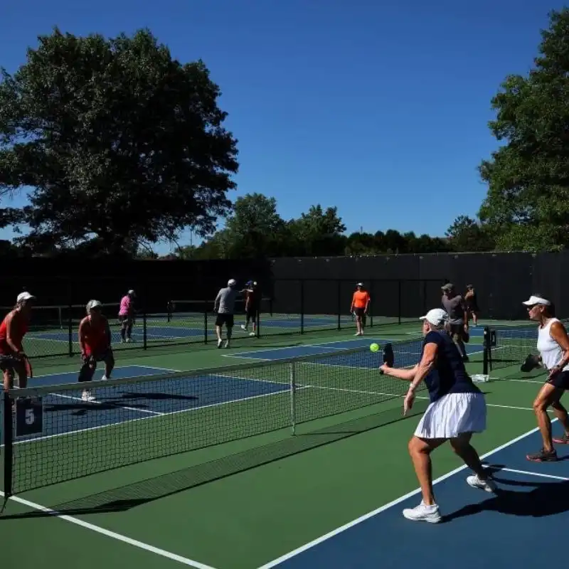 What Is Deaf Pickleball